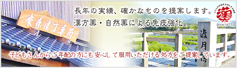 漢方薬は京都の安藤漢方薬局へ。京都で30年のご愛顧を頂いています。